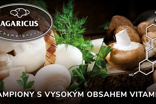 Čechům chybí vitamín D, který pomáhá v boji s covidem. Odborníci radí, jak ho nejlépe čerpat