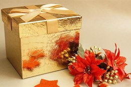 Ježíšek chodí i ve Fakultní nemocnici Plzeň