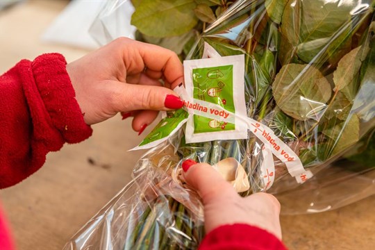 Floreář aneb květinový asistent připomene, objedná i doručí