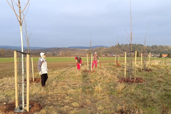 Blovice na Plzeňsku se mohou pochlubit novou výsadbou, pomůže proti erozi půdy