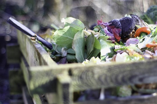 Rokycany se zaměřují na ekologii: žádost o dotaci na kompostéry a vratné kelímky