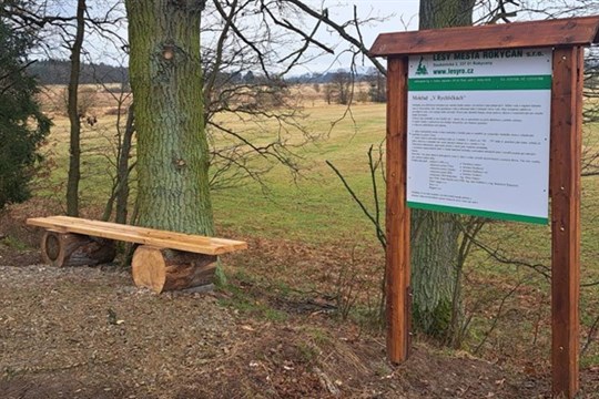 Návrat vody a života: U Rokycan vznikl nový mokřad „V Rychličkách“