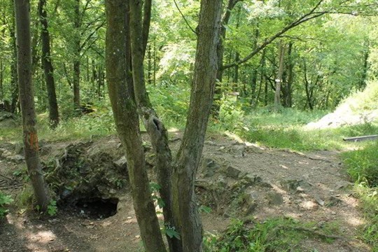 Nevíte, kam na výlet? Co takhle zřícenina hradu Lopata!