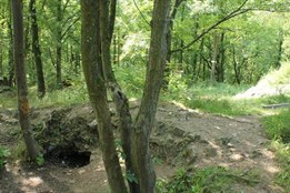 Nevíte, kam na výlet? Co takhle zřícenina hradu Lopata!