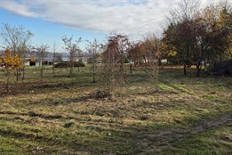 Nepořádek a provizorní přístřešky. S úklidem části Skvrňan pomáhali...