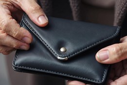 Státní dluh České republiky – mýty a fakta z pohledu ekonomie