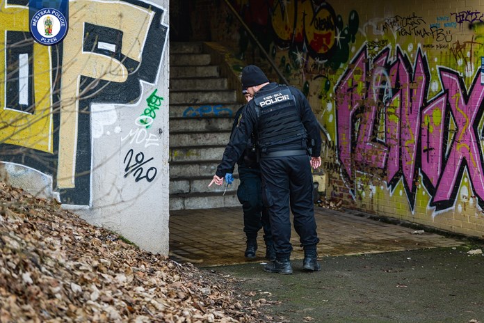Hlídka městské policie Plzeň