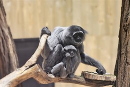 Zoo Zlín zve děti na jarní prázdniny, největším lákadlem je vstupné za 40 korun