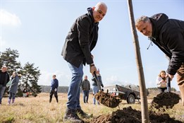 Živý dar k narozeninám: U dálnice vyrostla stromová alej