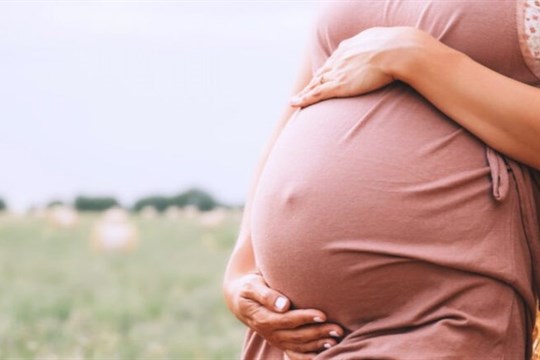 Uherskohradišťská nemocnice zavádí novinku v prenatální péči. Bezrizikový test z krve odhalí genetické odchylky už v těhotenství