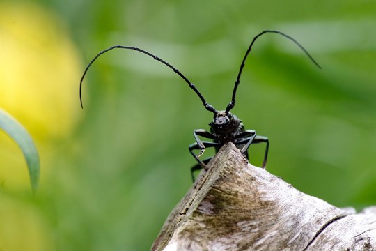 Do Rokycan za největšími poklady naší přírody
