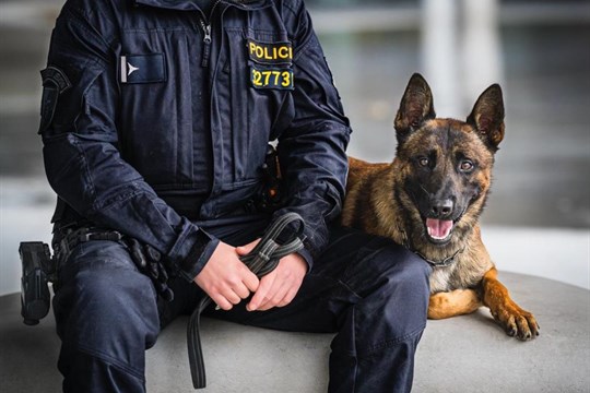 Noční drama u kolejí. Policejní pes Gambit zachránil muže, který chtěl ukončit svůj život