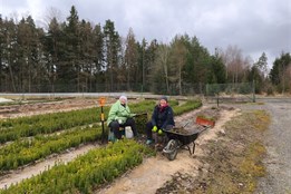 Špekáčky za odměnu: Děti pomohly vysadit tisíce stromků v rokycanských lesích