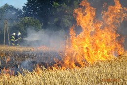 Plzeňský kraj v plamenech. Škody za rok 2025 lámou patnáctileté...