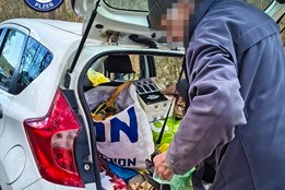 Plasty místo hnoje. Senior v Plzni půl roku „krmil“ les odpadky, strážníkům tvrdil, že recykluje