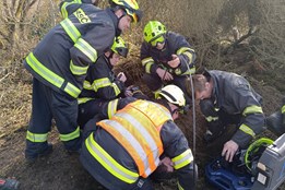 Drama na Plzeňsku: Záchranné složky bojují o život loveckého psa, uvízl v hluboké noře