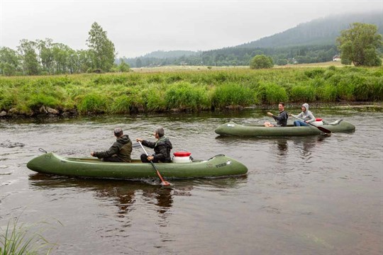 Šumavská divočina z paluby kánoe: Teplá Vltava otevírá meandry s novými pravidly