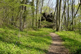 Tip na jarní výlet k hradu Lopata: Přírodní park Kornatický potok...