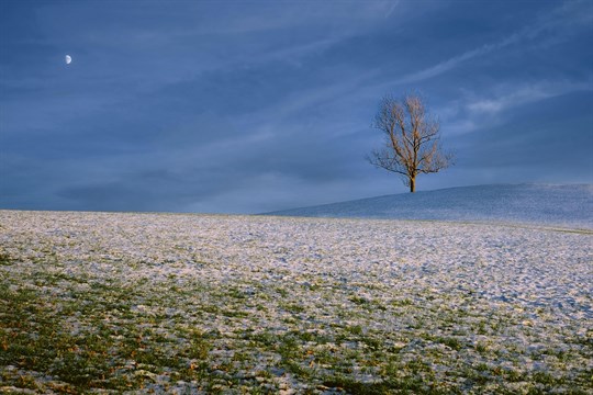 Zimní bundy neuklízejte, auta nepřezouvejte: Meteorologové varují před prudkým ochlazením v příštím týdnu. Na sníh dojde možná i v nižinách