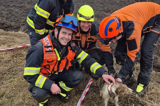 Šťastný konec záchrany chlupatého dobrodruha. Hasiči v Kroměříži vyprostili psa z betonové roury