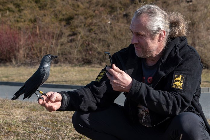 Kavka J8 jako modelka