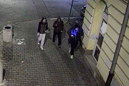 Parohy pod paží a úprk. Poznáte muže, kteří v Plzni ukradli loveckou trofej?